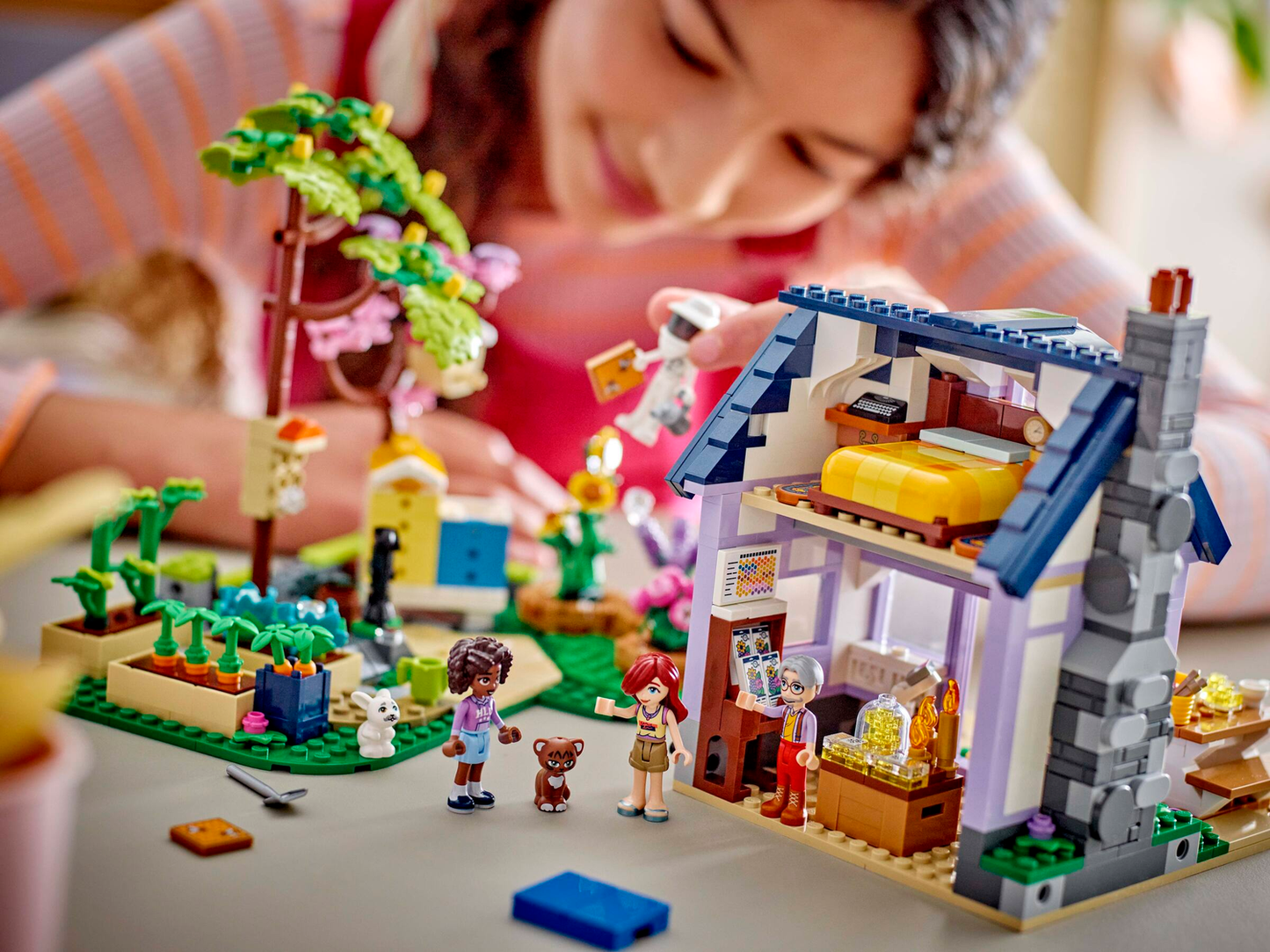 Friends 42669 Haus und Blumengarten der Imker