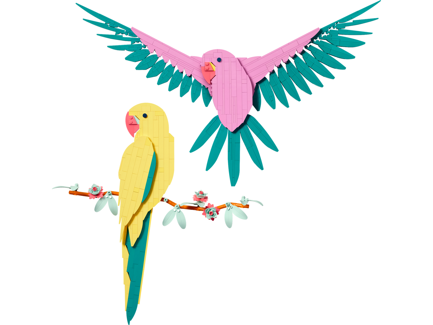Art 31211 Die Fauna Kollektion Aras