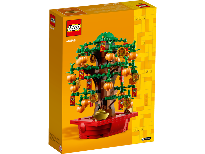 Seasonal 40648 Glückskastanie