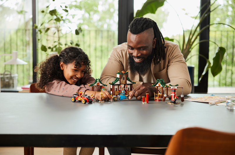 Ninjago 71787 Kreative Ninja Steinebox