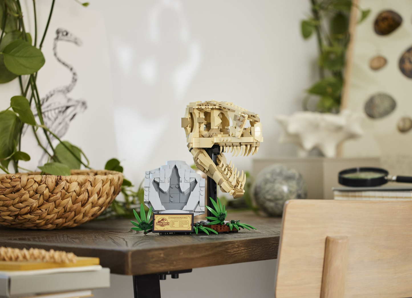 Jurassic World 76964 Dinosaurier-Fossilien: T.-rex-Kopf
