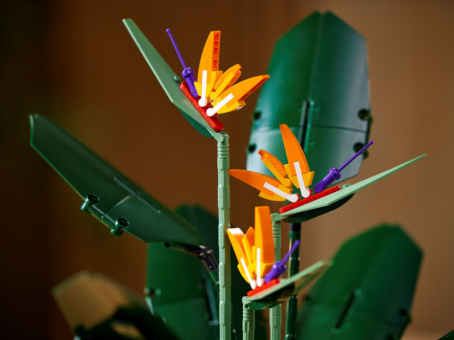 Creator Expert 10289 Paradiesvogelblume
