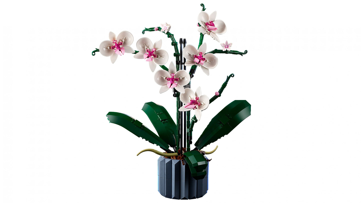 Creator Expert 10311 Orchidee