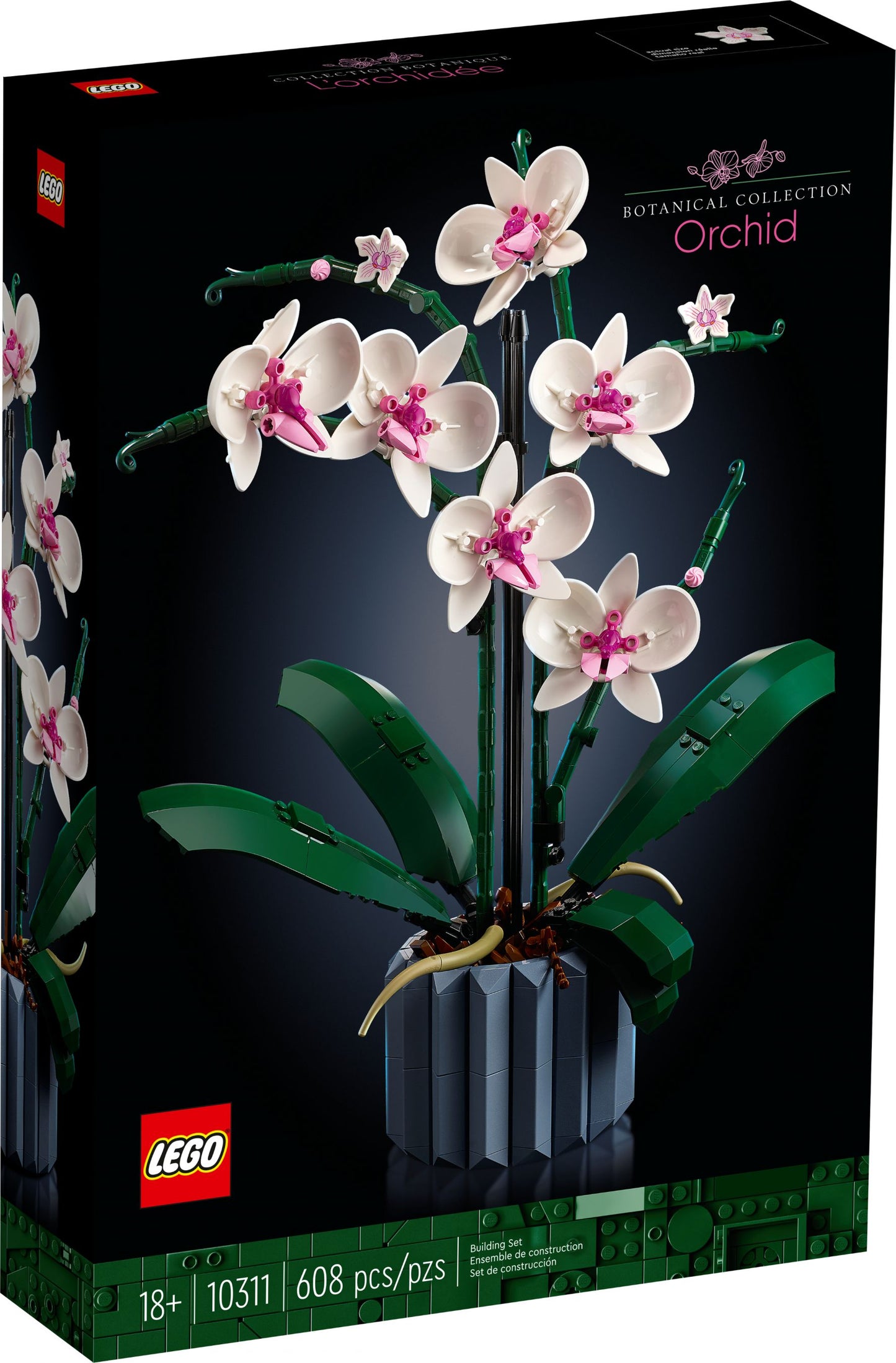 Creator Expert 10311 Orchidee