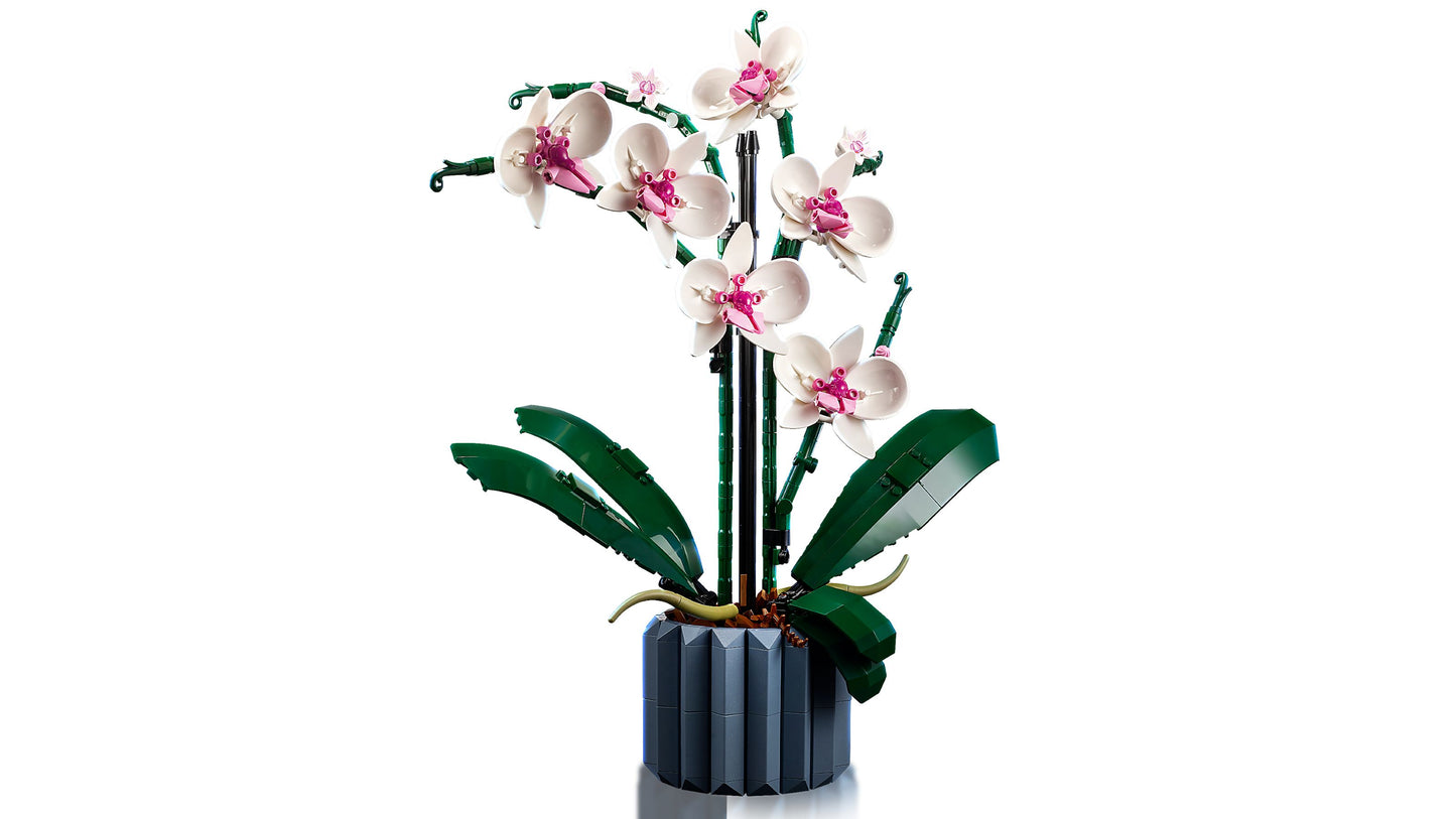 Creator Expert 10311 Orchidee