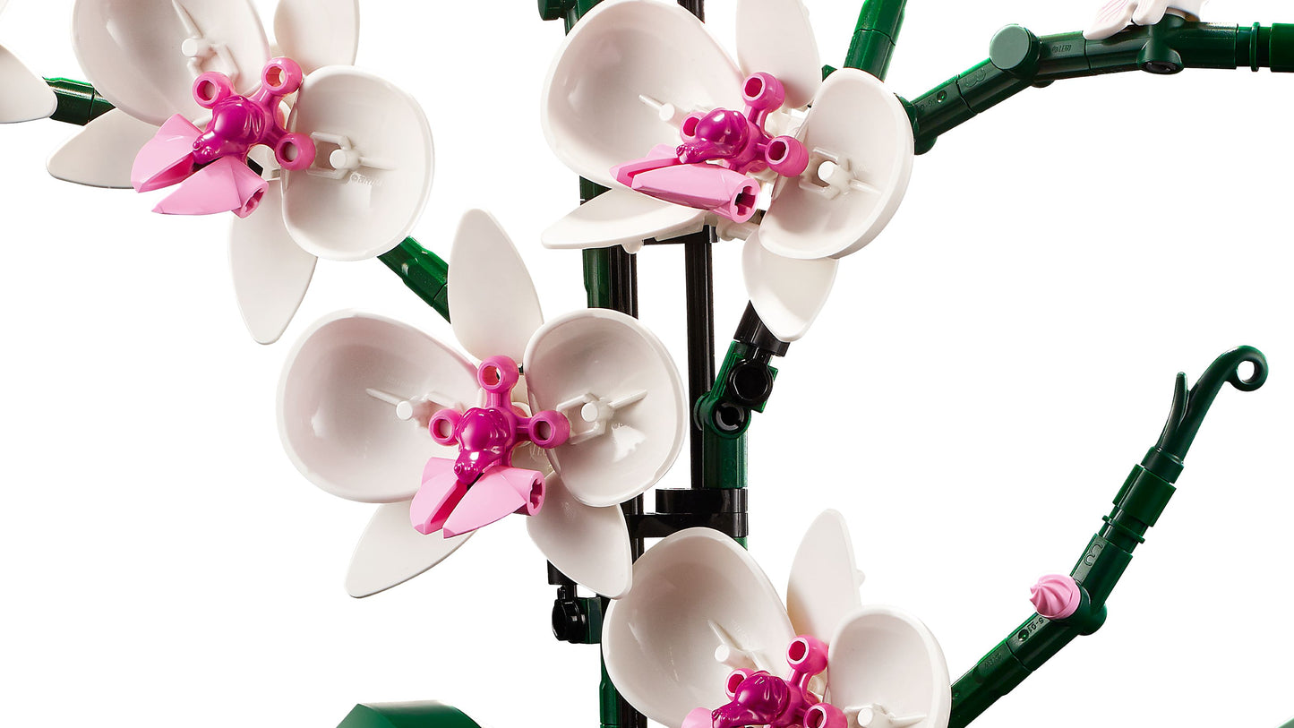 Creator Expert 10311 Orchidee