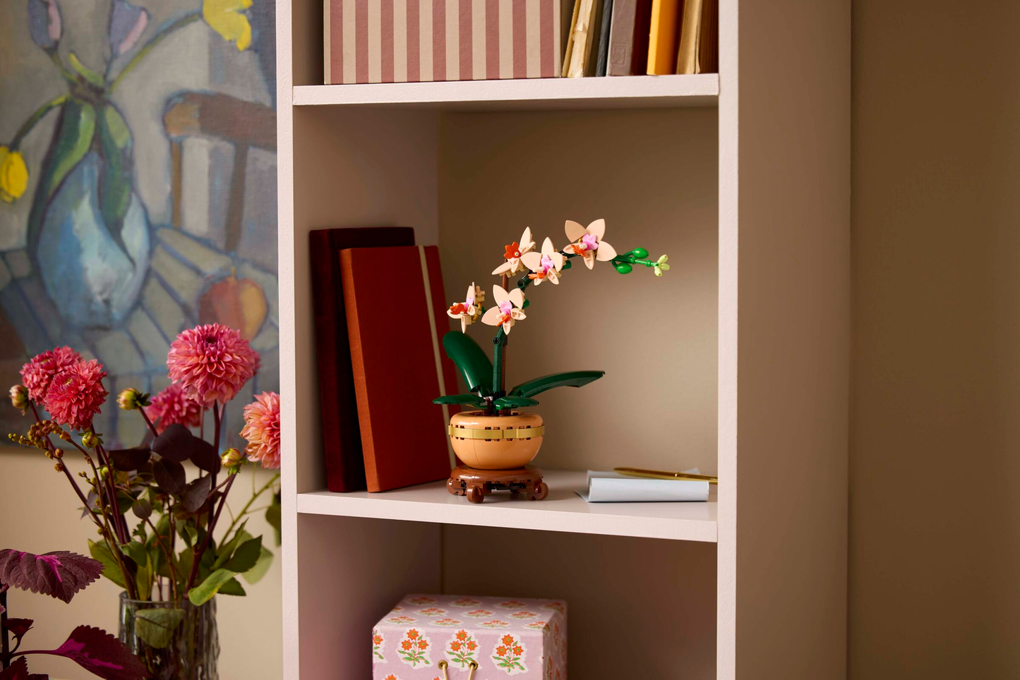 Mini-Orchidee