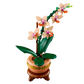 Mini-Orchidee
