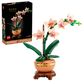 Mini-Orchidee