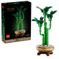 Glücks-Bambus