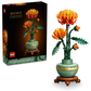 Icons 10368 Chrysantheme