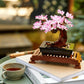 ICONS 10281 Bonsai Baum