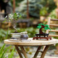 ICONS 10281 Bonsai Baum