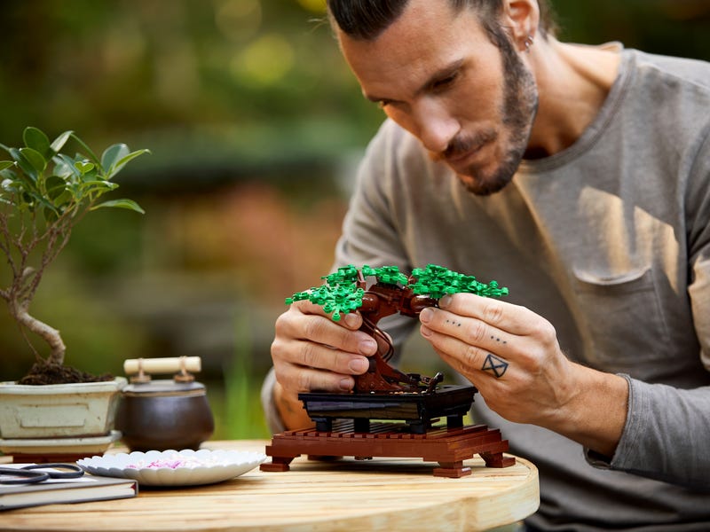 ICONS 10281 Bonsai Baum