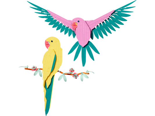 Art 31211 Die Fauna Kollektion Aras