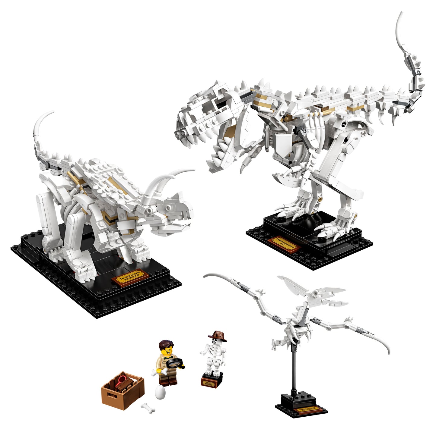 Ideas 21320 Dinosaurier-Fossilien