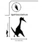 Jurassic World 76947 Quetzalcoatlus Flugzeug-Überfall